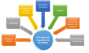 Principios de la gestión de calidad